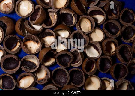macadamia nut shell close-up, cracked macadamia nut, selective focus Stock Photo