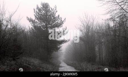 Gloomy day in the countryside with rainy gray clouds above thick green
