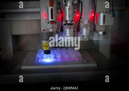 Bioprinting, an artificial production of biological tissues allowing regenerative medicine, phase of polymerization under UV. Stock Photo