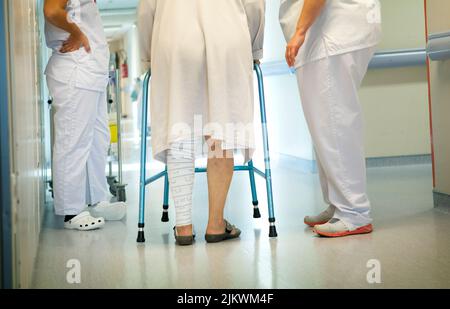 Two physiotherapists mobilize a patient in the intensive care unit of the hospital. Stock Photo