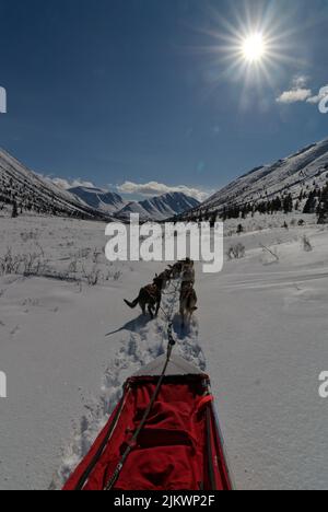 A team of sled dogs traveling through alpine valley snow into the sun Stock Photo