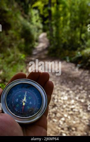 man's hand holding a compass in the forest with a leafy trail in the background Stock Photo