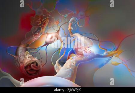 Brain: network of astrocytes (glial cells that support neurons). Stock Photo