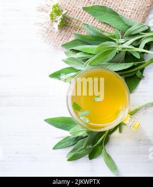 A glass of fresh sage. Herbal tea in a glass cup. Stock Photo