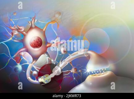 Nerve impulse: central nervous system neural network with zoom on Ranvier's node. Stock Photo