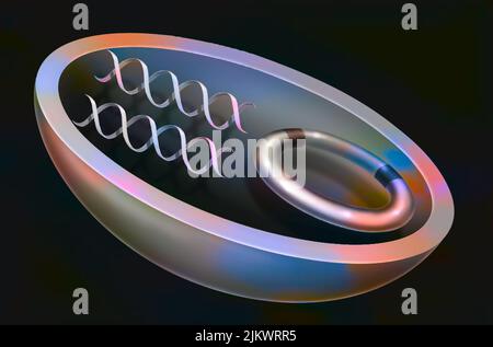 Genetic manipulations: Agrobacterium used to transfer modified genes into cells in order to obtain GMOs. Stock Photo
