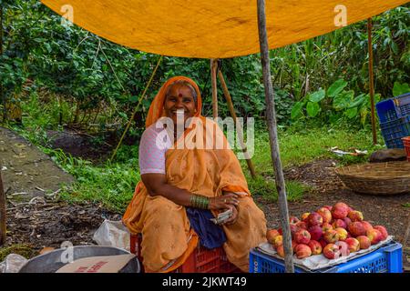 Kolhapur ,India- September 15th 2019; stock photo of 50 to 60 age group Indian women wearing yellow color saree, selling farm fresh red apple in the v Stock Photo