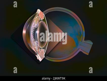 Normal eye with zoom on the flow of aqueous humor. Stock Photo