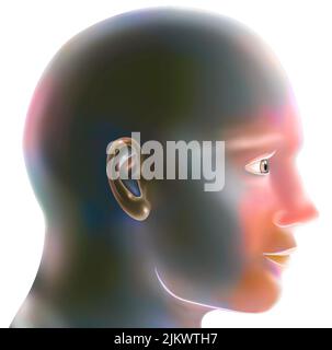 Head of a man in profile on a white background. Stock Photo