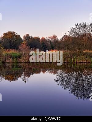 A vertical shot of a beautiful lake reflecting the trees and bushes on the shore on a spring day Stock Photo