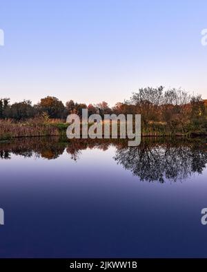 A vertical shot of a beautiful lake reflecting the trees and bushes on the shore on a spring day Stock Photo