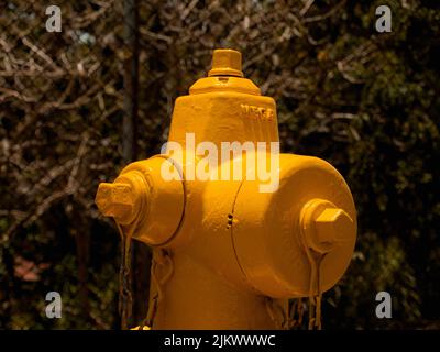 A closeup shot of yellow Fire extinguisher with trees in the background  inside a residential area Stock Photo