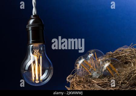 Close-up of a lit LED bulb that heats three small bulbs in a bird's nest on a black and blue background. Stock Photo