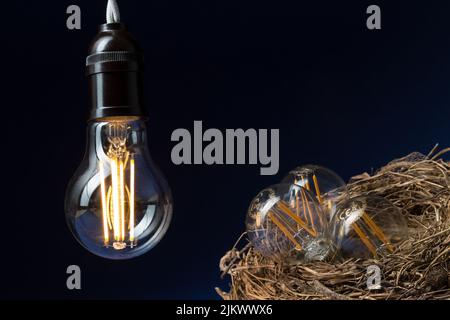 Close-up of a lit LED bulb that heats three small bulbs in a bird's nest on a black and blue background. Stock Photo