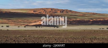 Namibia, panorama of the Namib desert, wild landscape, panorama Stock Photo