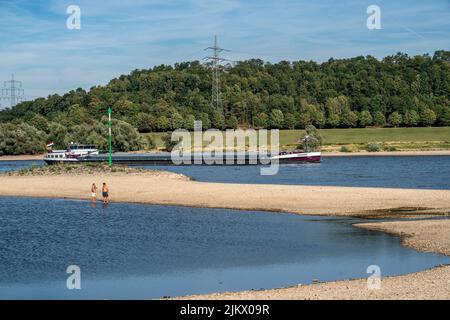 Low water level on the Rhine, banks falling dry, sandbanks in the river, shipping can only travel with reduced cargo and speed,  Duisburg-Bruckhausen, Stock Photo