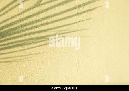 Blurred palm tree leaf's shadows on green yelow blue stucco wall. Minimalist summer tropical plants background Stock Photo