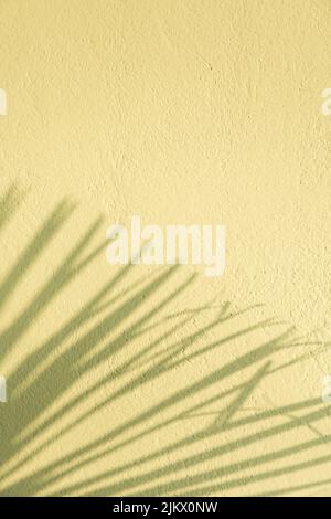 Blurred palm tree leaf's shadows on green yelow blue stucco wall. Minimalist summer tropical plants background Stock Photo