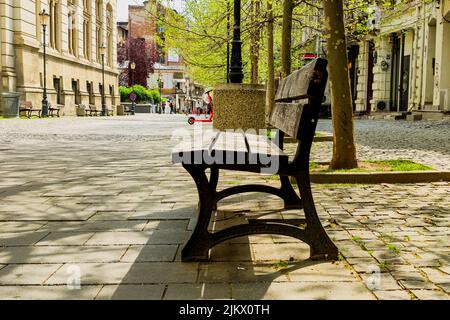 A beautiful shot of an empty wooden bench in a paved park under green trees against a building in sunlight Stock Photo