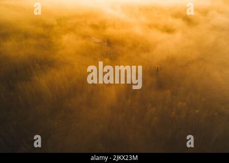 The new day is in beginning Stock Photo