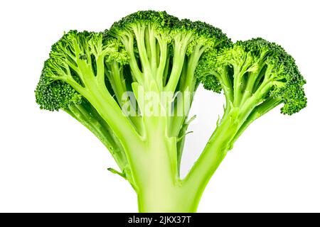Inflorescence and trunk of broccoli vegetable cut in half isolated on white. Green Organic Superfood and a healthy ingredient for a healthy diet. Stock Photo