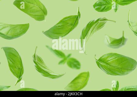 Seamless pattern of basil leaves flying over green background. Stock Photo