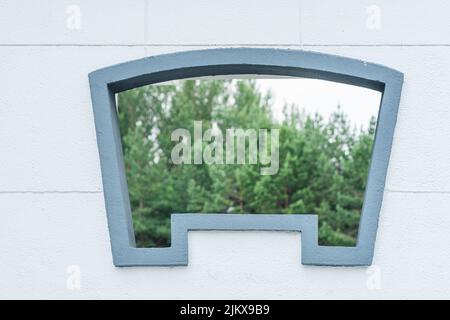 A fir forest from a window on a white wall Stock Photo