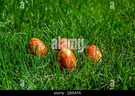 Easter Eggs Naturally Dyed with Onion Skins Stock Photo