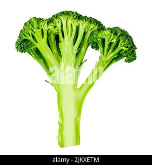 Inflorescence and trunk of broccoli vegetable cut in half isolated on white. Green Organic Superfood and a healthy ingredient for a healthy diet. Stock Photo