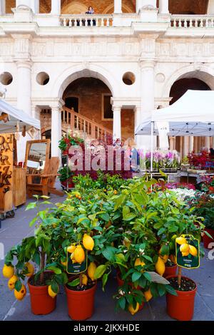 VICENZA, ITALY -14 APR 2022- View of the annual Flower Market in April in Vicenza, Veneto, Italy, a UNESCO world heritage site. Stock Photo