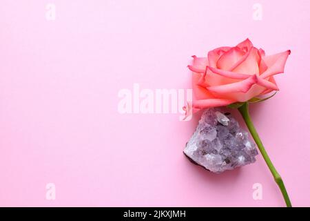 Druse amethyst and one rose on a pink background. Copy space for text Stock Photo