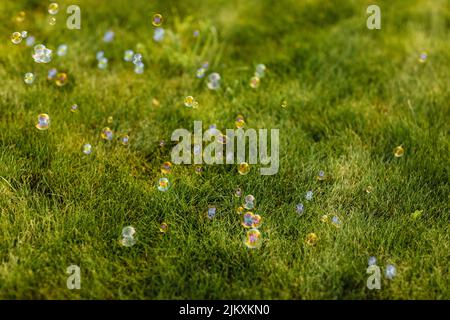 bright soap bubbles on summer natural green abstract background . many flying soap bubble in sunny day. spring or summer season. symbol of childhood, Stock Photo