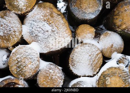 A closeup of a stack of wooden logs covered with snow in winter Stock Photo