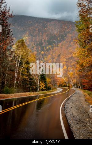 A vertical shot of a beautiful view of the road going through the forest in autumn in New England Stock Photo
