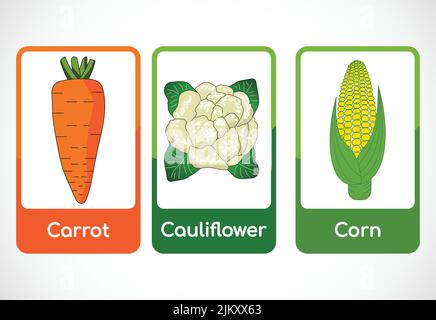 Vegetable flashcards for kids. Educational cards for preschool. Printable vector illustration Stock Vector