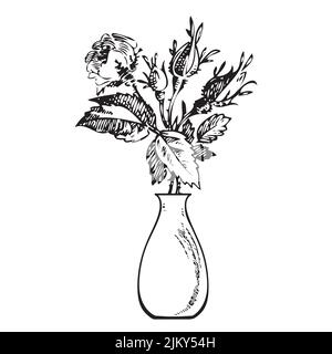 Hand drawn bouquet rose in vase. Flower, rosebud, branches, leaves engraving sketch. Isolated black lines on white background. Vector illustration, gr Stock Vector