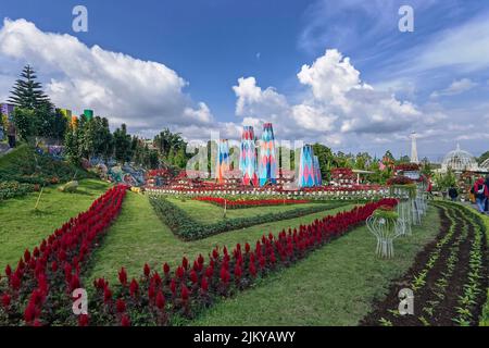 Taman Bunga Celosia Park, Bandungan, Semarang, Indonesia Stock Photo