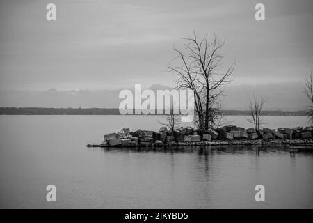 A grayscale shot of a pier from rocks with small leafless trees on a lake in Montreal, Canada Stock Photo