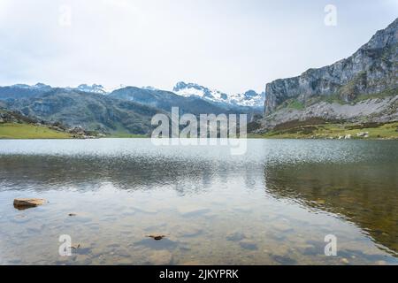 Detail of Lake Ercina in the Lakes of Covadonga. Asturias. Spain Stock Photo