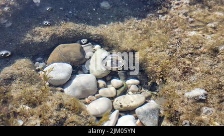 A closeup shot of the underwater of the sea with rocks and a big bubble on the water Stock Photo