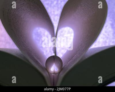 A closeup shot of an open book with folded pages shaped like a heart with a crystal ball inside Stock Photo