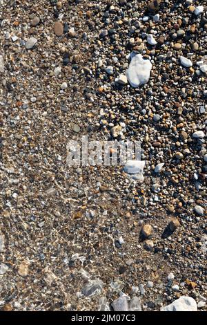 A top view of the sands with shells and stones on a beach in the daylight Stock Photo