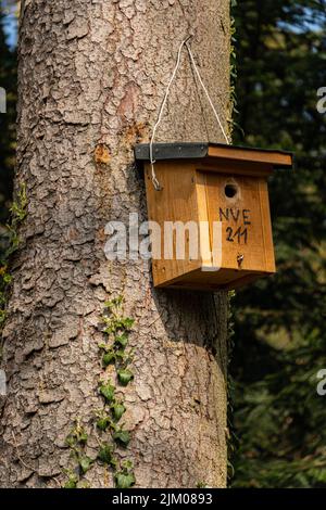A closeup of a wooden birds house hanging on a tree trunk Stock Photo