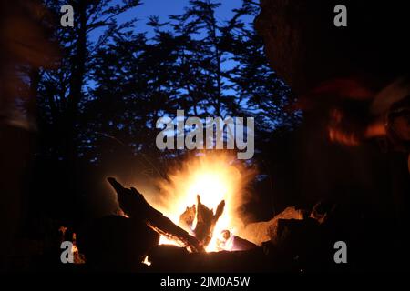 A closeup shot of a burning campfire in the forest Stock Photo