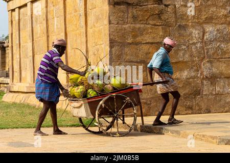 People selling coconuts on cart outside temple, Gangaikonda Cholapuram, Ariyalur, Tamilnadu, India. Stock Photo