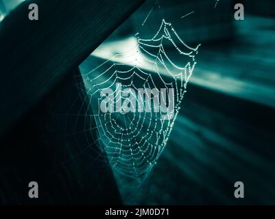 A closeup of a spider web in wooden materials on a blurred background Stock Photo
