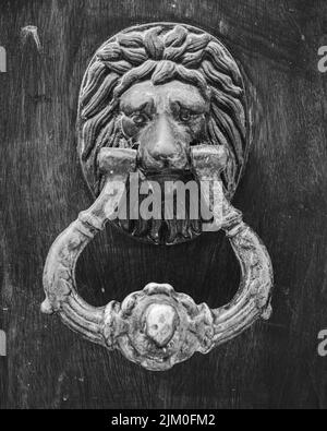 A grayscale of a lion door knocker on a wooden door Stock Photo