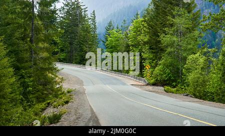 View of a remote west coast highway as it winds through the beautiful forest. Stock Photo