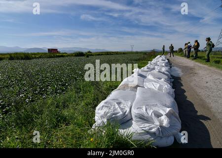 August 3, 2022, San Mateo Atenco, Mexico City, Mexico: August 3 in San Mateo Atenco, Mexico : Neighbors, civil protection elements and military personnel belonging to the 25th Infantry Battalion, applied Plan DN-III-E in its prevention phase, by placing ''costaleras'' along 4 kilometers of the perimeter of the Lerma River, a place where every rainy season it suffers overflows and severe flooding in homes in the area. on August 3, 2022 in San Mateo Atenco, Mexico. (Credit Image: © Arturo HernÃ¡Ndez/eyepix via ZUMA Press Wire) Stock Photo