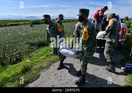 August 3, 2022, San Mateo Atenco, Mexico City, Mexico: August 3 in San Mateo Atenco, Mexico : Neighbors, civil protection elements and military personnel belonging to the 25th Infantry Battalion, applied Plan DN-III-E in its prevention phase, by placing ''costaleras'' along 4 kilometers of the perimeter of the Lerma River, a place where every rainy season it suffers overflows and severe flooding in homes in the area. on August 3, 2022 in San Mateo Atenco, Mexico. (Credit Image: © Arturo HernÃ¡Ndez/eyepix via ZUMA Press Wire) Stock Photo